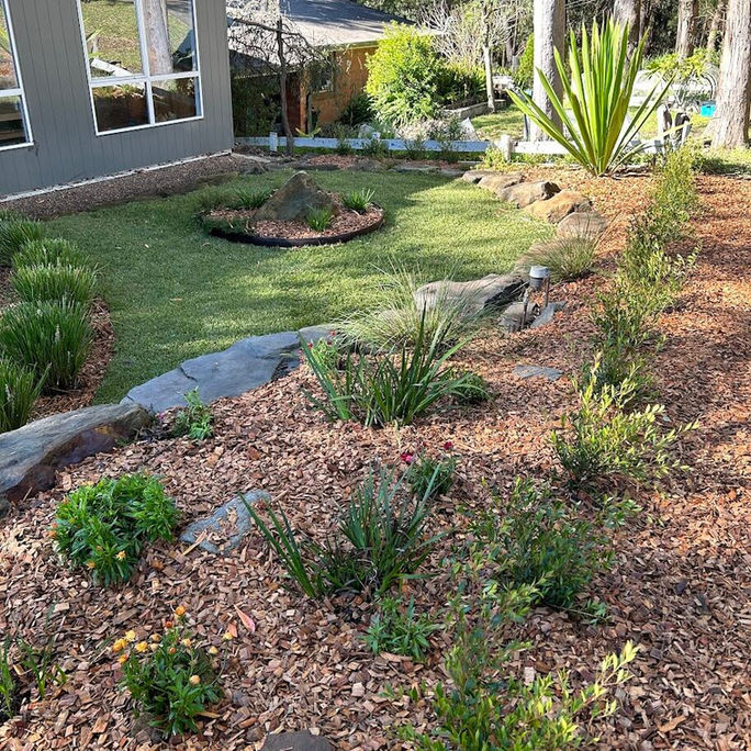 Native Garden on nature strip