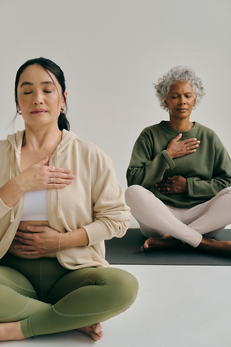 Jess Kahn Yoga Wellness Program Fredericksburg VA