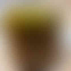 Alcoolature Calendula