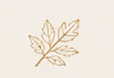 feuille.png