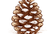 logotype pommepin.png