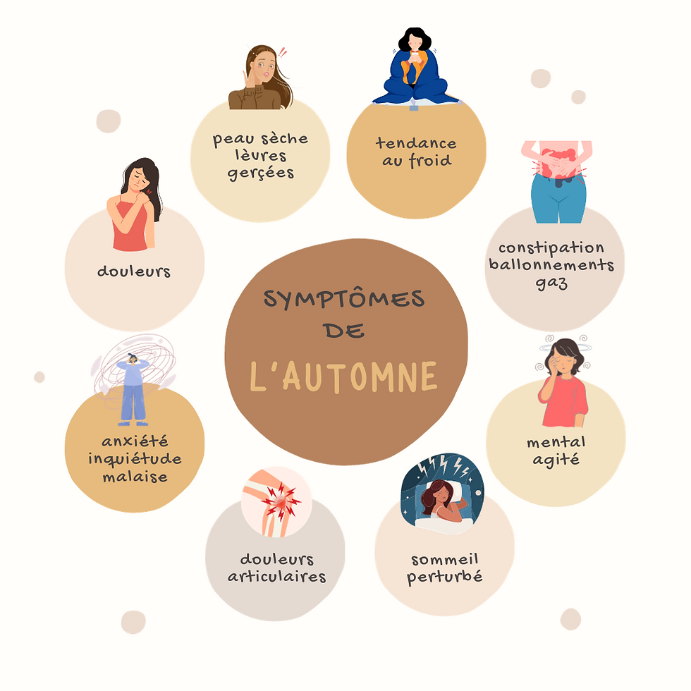 Les déséquilibres en Automne : pallier ces problématiques avec le massage et le drainage lymphatique à Arradon, proche Vannes