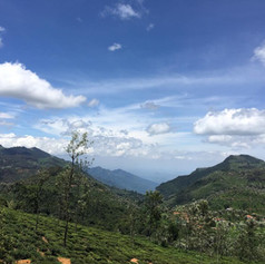 Mountain-Top-Valley-View.jpeg