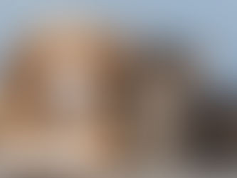 Puppy and Kitten Vaccination Schedule