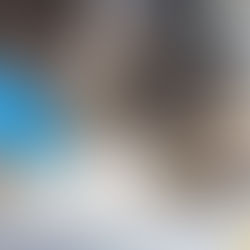 Why Is My Cat Vomiting?