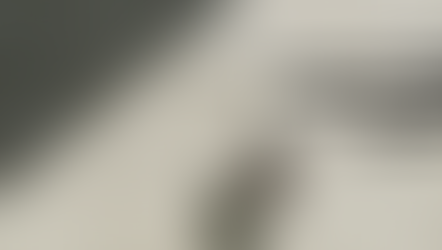 
Fjármögnun og Rannís Skrif