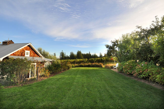 Spirit Hill Farm lawn.jpg