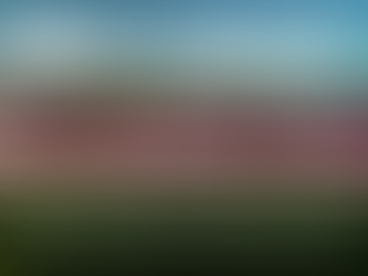 More Talent Announced for Live In The Vineyard Goes Country, Presented by Visit Napa Valley