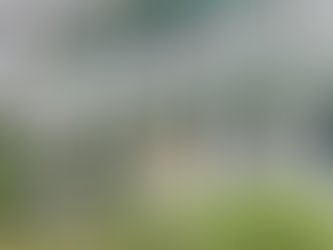 Exploring Charleston, South Carolina