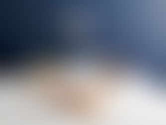 4th of July Roundup: Celebrate with Landry's Concepts