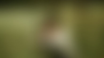 The 6 1 5 Featuring Karlie Bartholomew