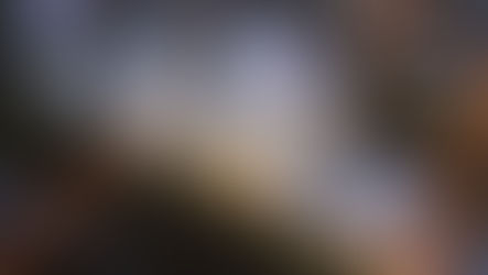 Pinnacle Financial Partners Inks Landmark Agreement To Become A Founding Partner Of Nashville Yards