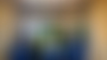 Join the Team at Nashville Zoo