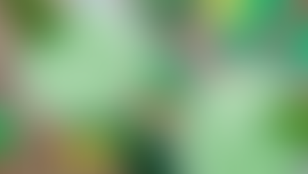 CELEBRATE ST. PATRICK’S DAY AND MARCH MADNESS AT LOCAL JOINTS