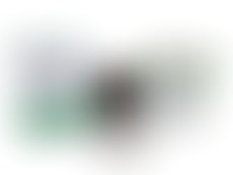 THIS VALENTINE’S DAY GIFT IS GOOD FOR THE PLANET!