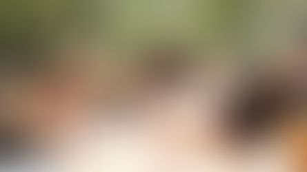 Tucson’s Culinary Prestige on Display in Bravo’s “Top Chef” Season 19 Finale