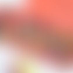 Perfect for Picnics, Porch Parties & Hostess Gifts – Gourmet Boxes from Letterly