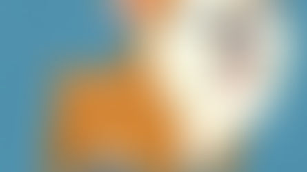 BOBBY BONES ANNOUNCES CHILDREN’S BOOK STANLEY THE DOG AND HIS FIRST DAY OF SCHOOL