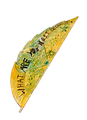 62%20(2)_edited.png