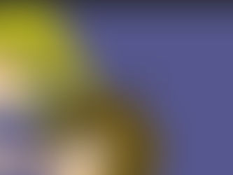 Reward to the 1st place of the contest