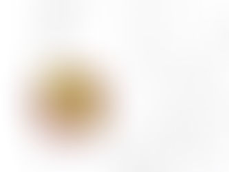 Update 5 | Animation | YaMG