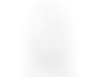 Update 1 | Animation | Animation #1