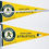Thumbnail: MLB Major League Baseball Mini Pennants