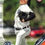 Thumbnail: Matt Manning 2019 Bowman Prospects Card No BP85 (Tigers)