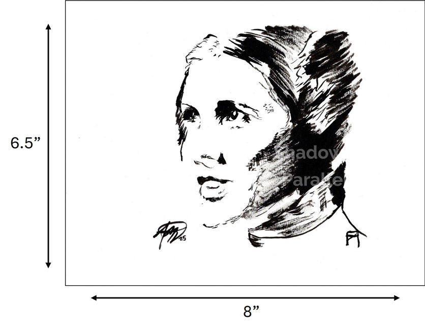 "Princess Leia" Brush and Ink 6.5" x 8" Original Artwork