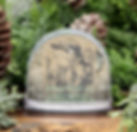 Wayfarer of Rosewood pond snow globe 1.jpg