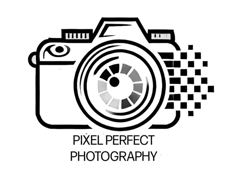 Pixel Perfect B & W Logo