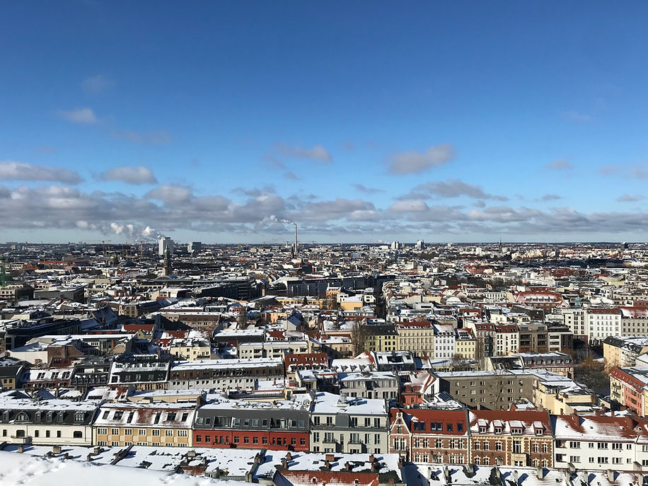 Berlin Taubenabwehr
