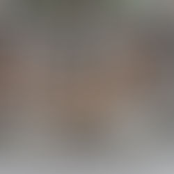 北中城の壁面にあるシーサー
