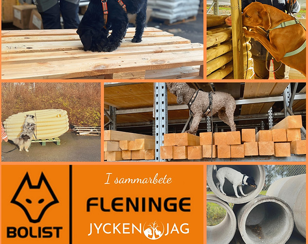 Isammarbete-bolistfleninge-jyckenochjag_edited.jpg