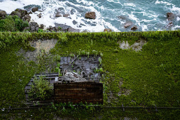 COMMERCIAL PHOTOGRAPHY, NATURE PHOTOGRAPHY