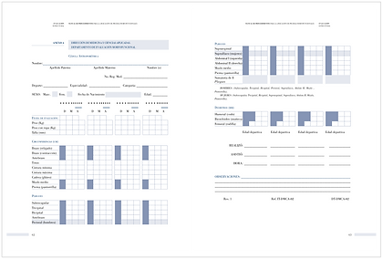 Proyectos 202015.png