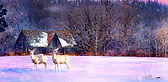 winter light deer 60X30 copy.jpg