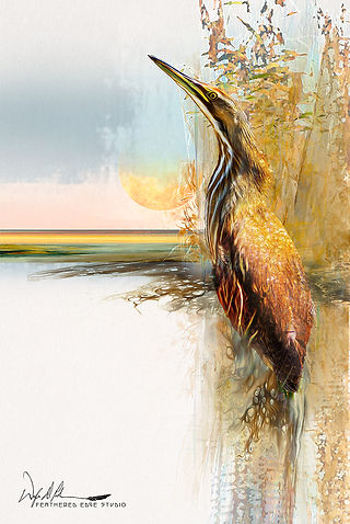 bittern.jpg