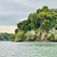 Pulau Sarimbun 1.jpeg