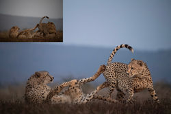 Calvin_Kotze_Post_Processing_4