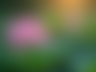 Embracing Your Inner Divine Feminine Energy