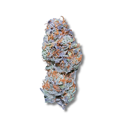 Untitled (1080 x 1080 px)-3.png