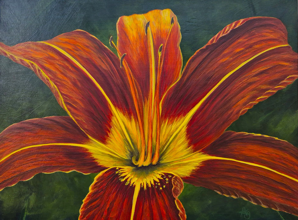 An orange coloured lily