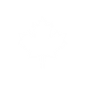 Maple-leaf.png