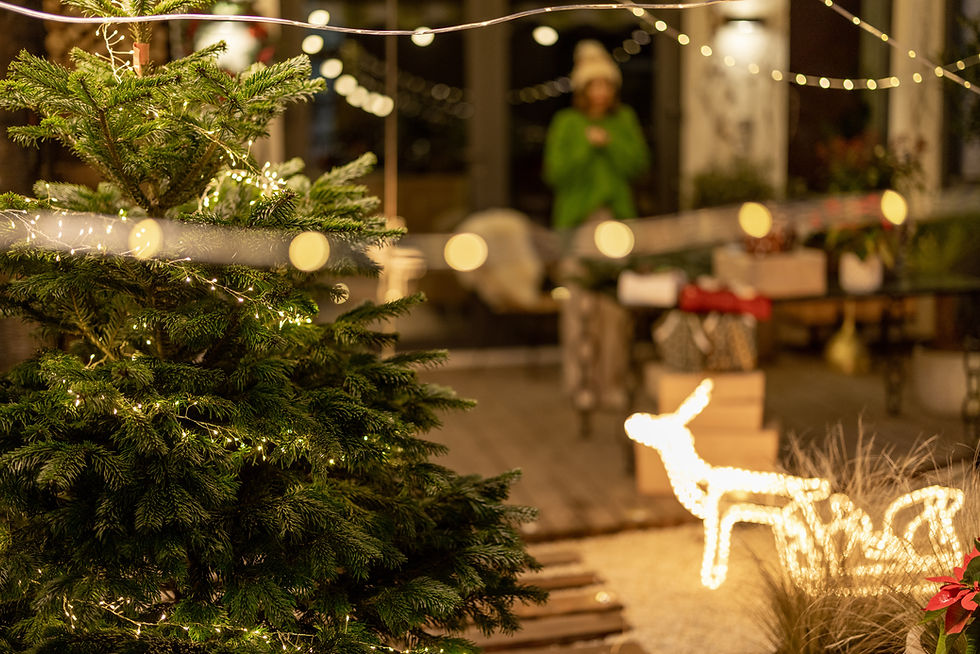 A beautiful yard at Christmas time