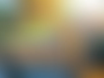 excavator digging up soil in a back yard