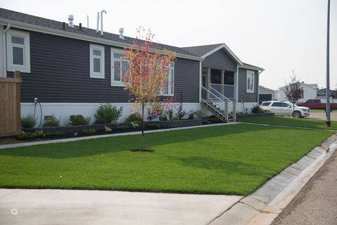 Front yard with landscaping including lawn, flower beds and plants