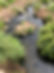 image2 (1).jpeg