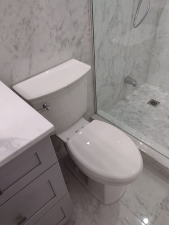 new toilet for bathroom renovation