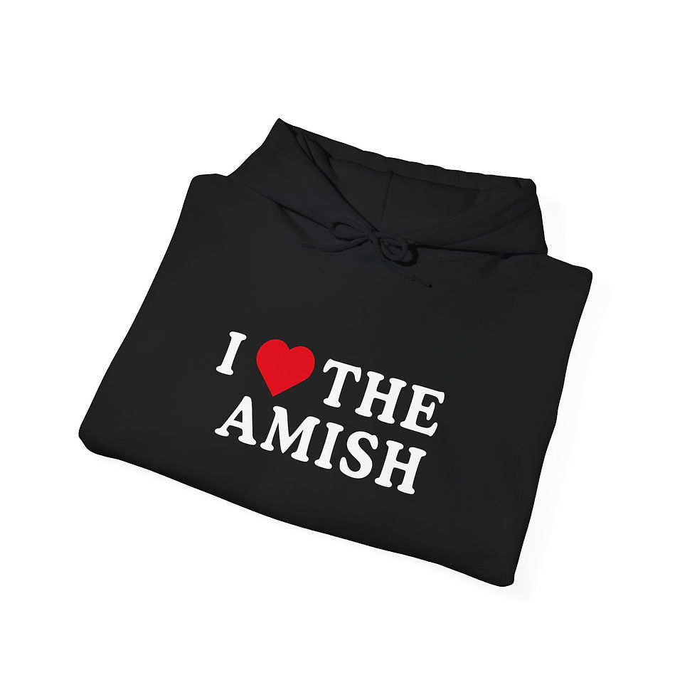 Thumbnail: I Love The Amish Hoodie